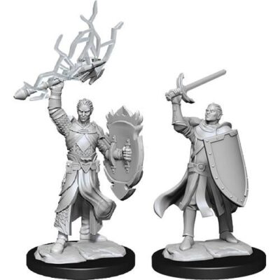 D&D Nolzur's Marvelous Miniatures - Half-Elf Paladin